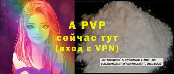 индика Тында