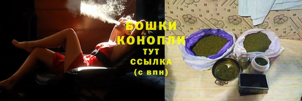 индика Тында