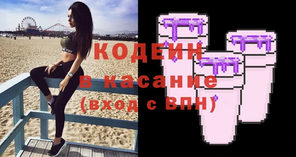 индика Тында